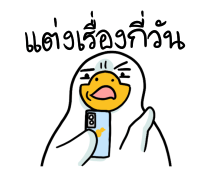 ลายที่ 13