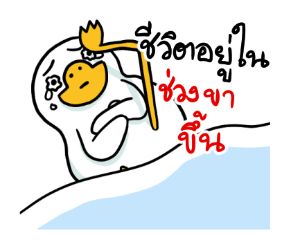 ลายที่ 29