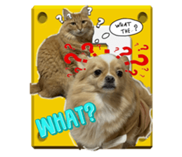 765783057