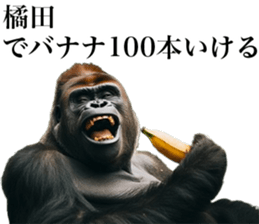 765813030
