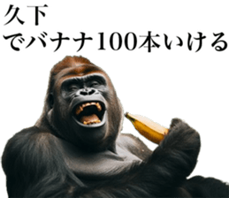 765813406