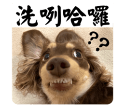 765816567