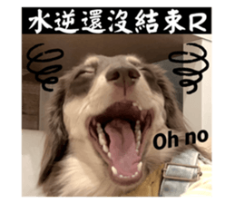 765816576