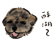 765828985