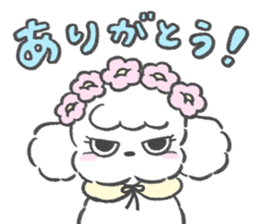 765835954
