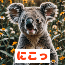 765836247