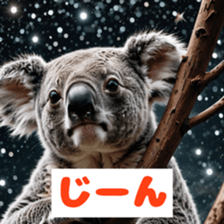 765836271