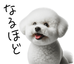 765839813
