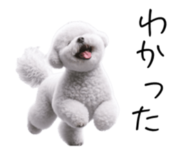 765839814