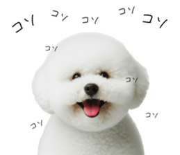 765839833