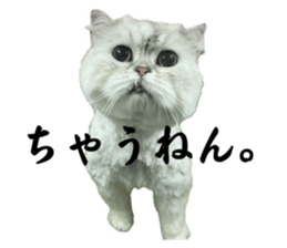 765847646