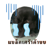765855034