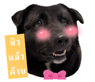 765855036