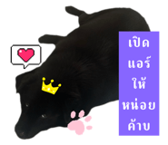765855039