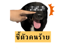 765855040