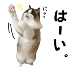 765855970