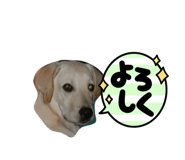 765857126