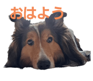 765857209