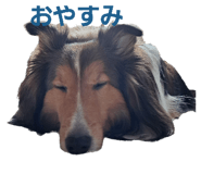 765857210