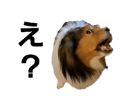 765857213