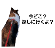 765857228