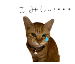765859460
