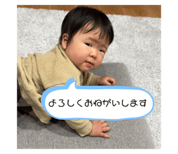 765863135