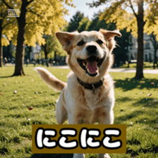 765868076