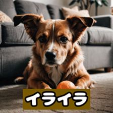 765868081