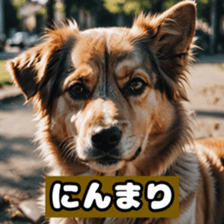 765868087
