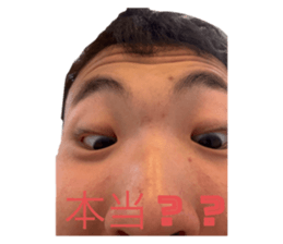 765869003