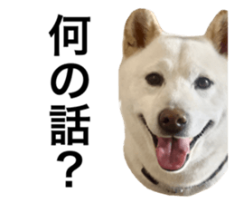 765869403