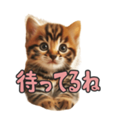 765898189