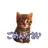 765898198