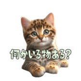 765898199