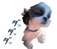 765899310