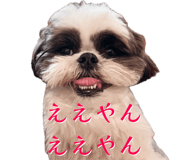 765899313