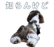 765899315