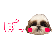 765899316