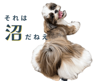 765899322
