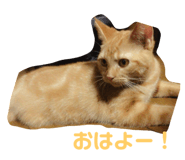 765903355