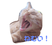 765903357