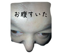 765903644