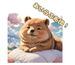 765903670