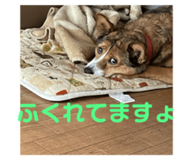 765904347