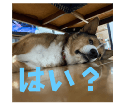 765904355