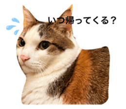 765906042