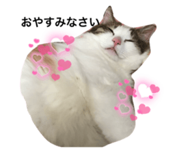 765906048