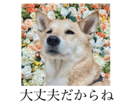 765908121