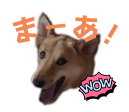 765908125